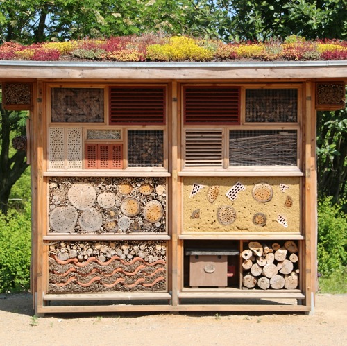 Sommer im Kleingarten
