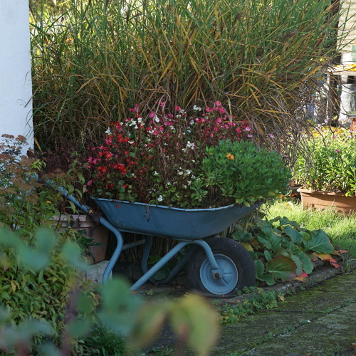 Arbeitsdienst Februar