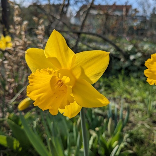 Jahreshauptversammlung - nicht &ouml;ffentlich